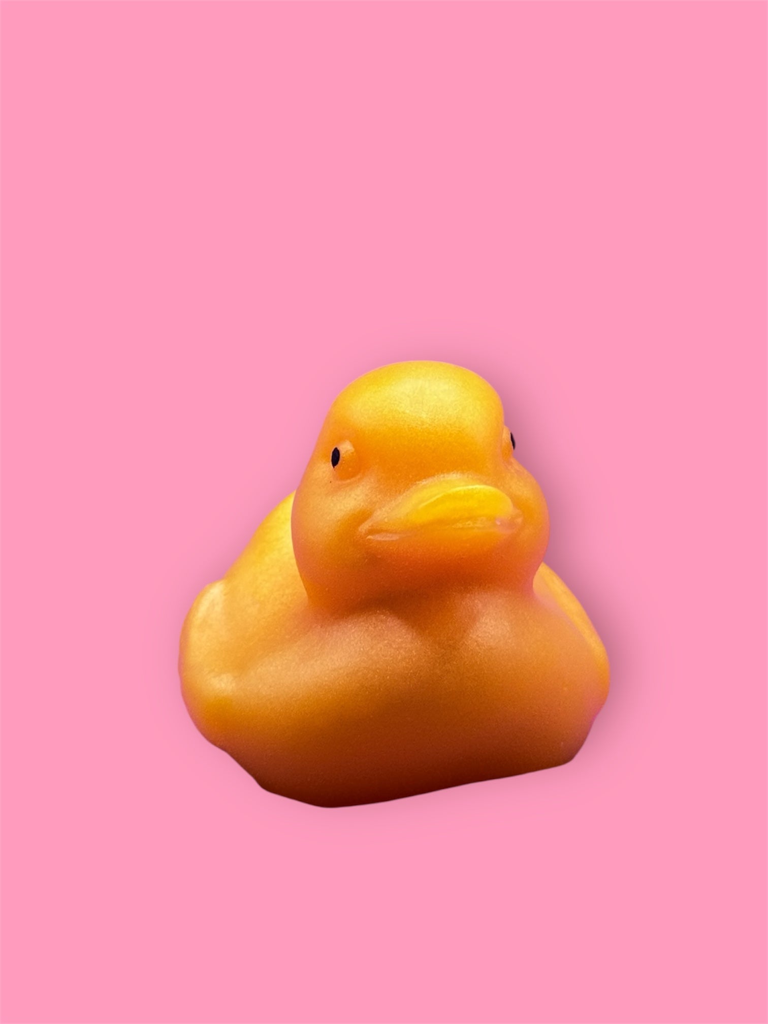 Sunny Duckie